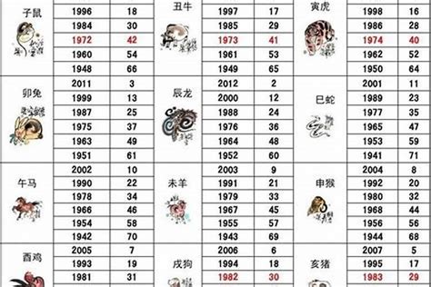 2002年生肖|生肖查询：2002年属什么生肖？